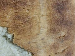 -哈尔滨秋林食品有限责任公司(秋林公司店)