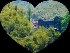 -山沟沟景区