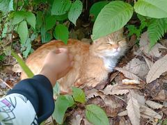 -终南山南五台景区