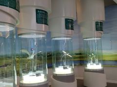 -辽宁古生物博物馆