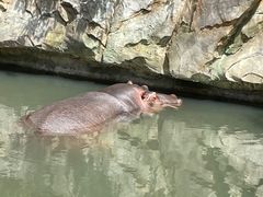 -宁波野生动物园