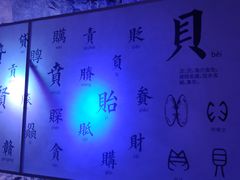 -贝壳梦幻世界