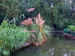 -东湖落雁景区