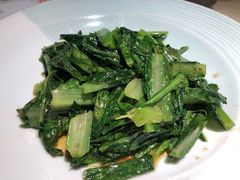 豉油油麦菜-绿茶餐厅(成都大悦城店)