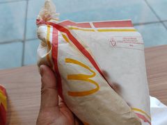 蔬菜牛肉卷-麦当劳(祈年大街店)