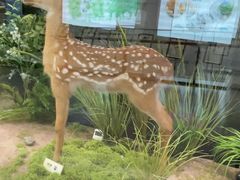 -天津市规划展览馆