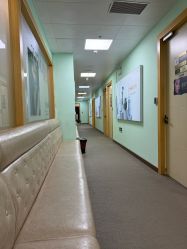 -上海华美医疗美容医院