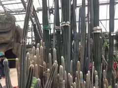 -南山植物园