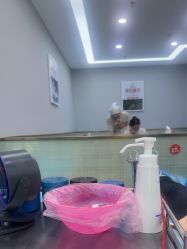 -悟空祛痘·诺奖技术专业店