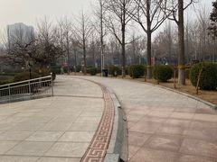 -西清公园