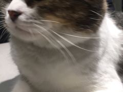 -小时光咖啡馆(开森度假森林店)