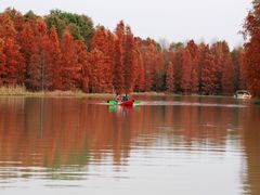 -上海海湾国家森林公园
