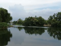 -新江湾城公园