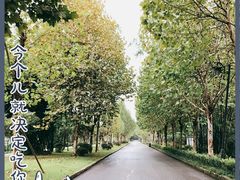 -大渡口区义渡公园