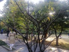 -南通博物苑-崇川人民公园