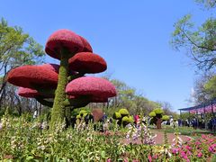 -沈阳植物园