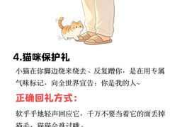 -瑞鹏宠物医院·骨外科·心肾科·肿瘤科(九亭店)