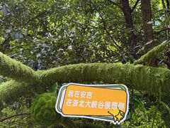 -浙北大峡谷