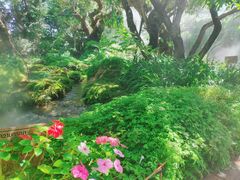 -Chom Cafe and Restaurant