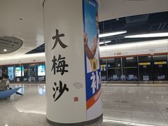 -大梅沙海滨公园