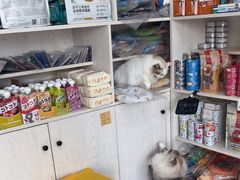 -佳佳动物医院