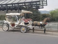 -中国湿地博物馆