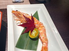 -鲤·鮨KOISUSHI