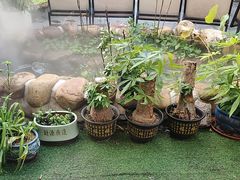 -后湖小院·乡野田园菜