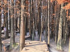 -东湖落雁景区