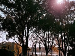 -金鸡湖桃花岛