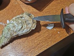 -臻炙大舍烤串(天龙家园店)