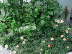-美丽心情(奥体店)