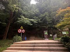 -上海佘山国家森林公园天马山园