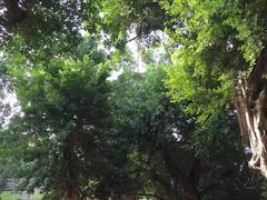 -胡里山炮台