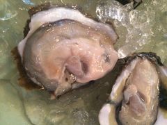 Mr.&nbsp;99&nbsp;Steak&nbsp;and&nbsp;Seafood&nbsp;Restaurant-Mr. 99 Steak and Seafood Restaurant