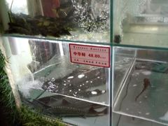 -秋语木桶鱼.酸菜鱼(开发区火车站店)