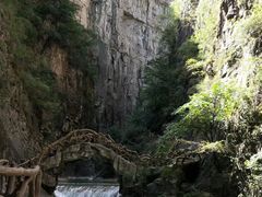 -山西壶关太行山大峡谷旅游景区