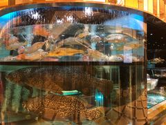 -金翠皇宫粤菜·点心·海鲜(科技园店)