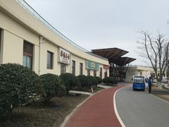 -上海长兴岛郊野公园