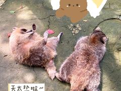 -杭州野生动物世界