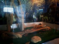 -泉州海丝野生动物世界