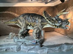 -安徽省地质博物馆