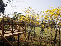 -漳州滨海火山岛自然生态风景区