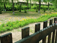 -呼兰河口湿地公园