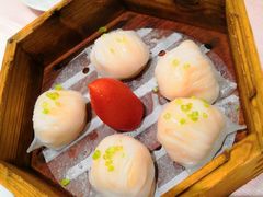 -东方御宴海鲜酒楼(棕泉酒店)