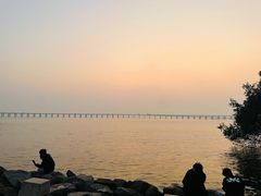 -宝安西湾红树林湿地公园