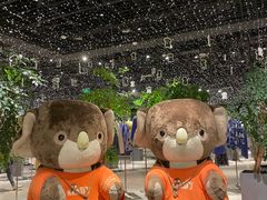 -额尔敦·品质自助(摩尔城店)