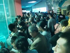 -泉城欧乐堡海洋极地世界