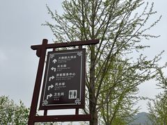 -万佛园景区
