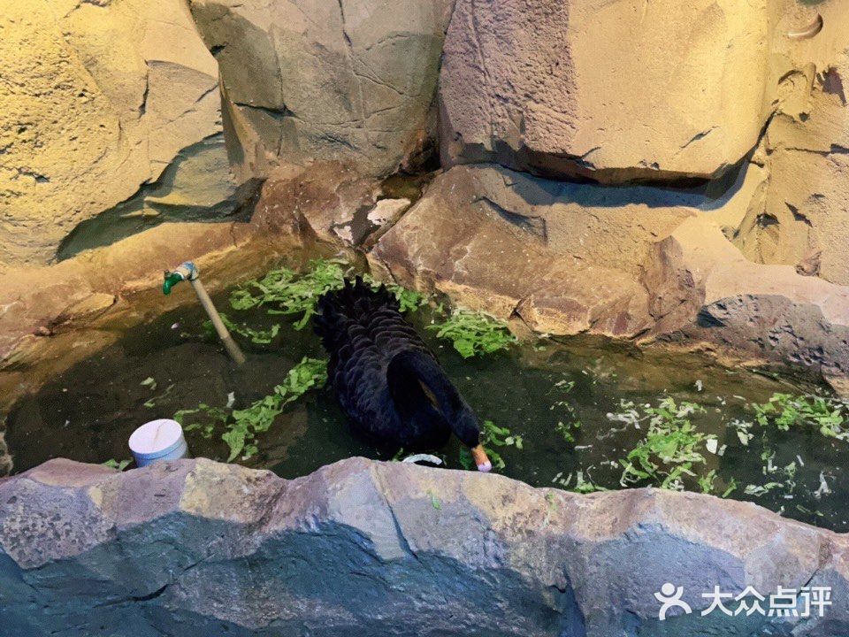 周末溜娃好去处~娃开心，你想做啥就做啥